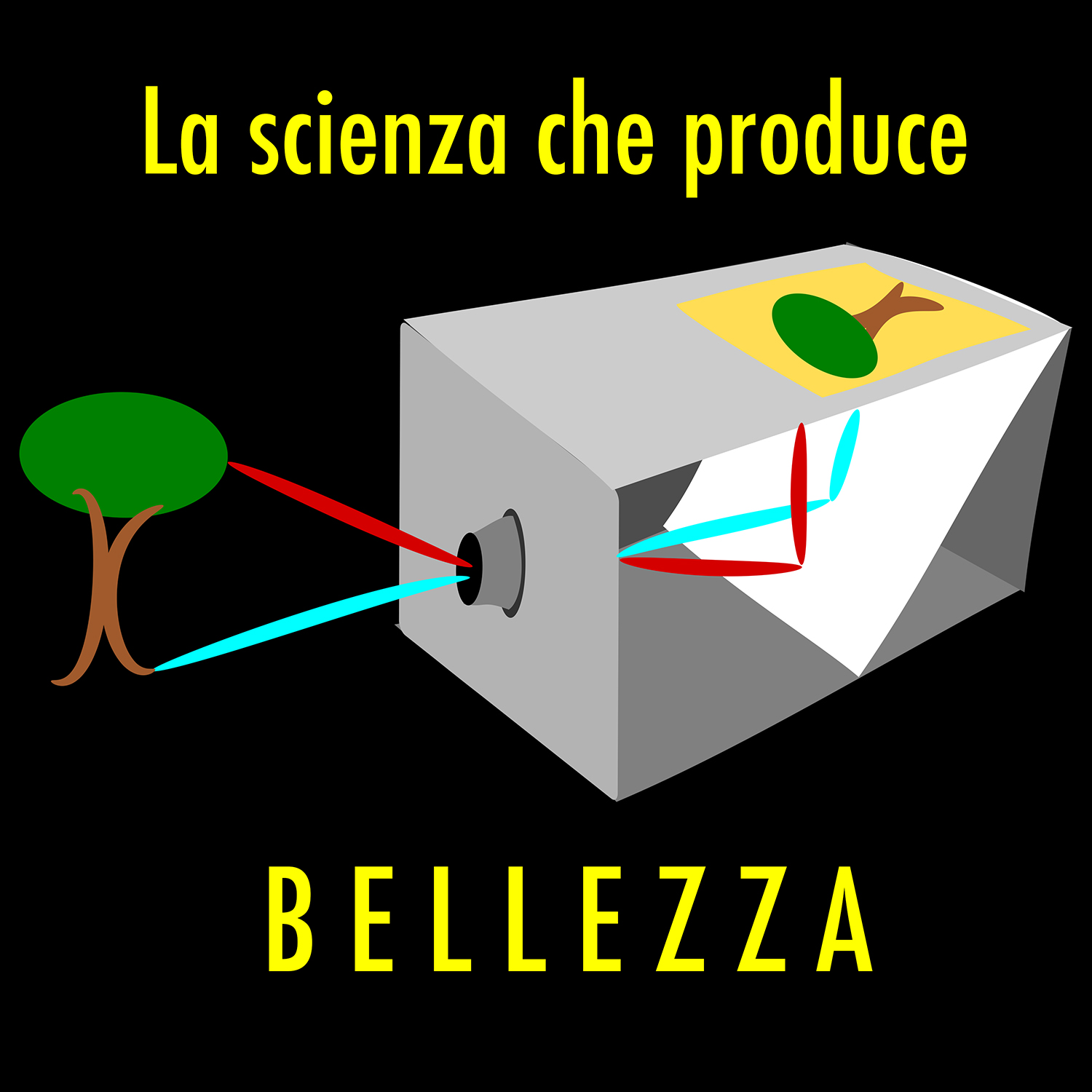 La scienza che produce bellezza